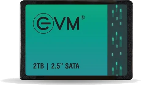 Home Server SSDs